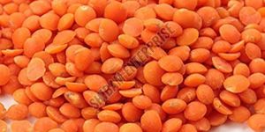 Orange Masoor Dal