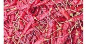 S10 Sannam Dry Red Chilli