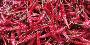 Teja S17 Dry Red Chilli