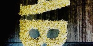 Natural White Sesame Seeds