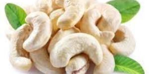 Tulsi Whole Premium Cashew