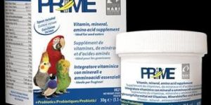 Prime Vitamin Supplement 30g (1.1 oz)
