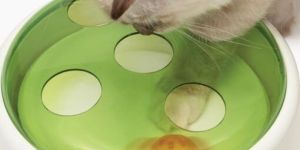 Senses 2.0 Ball Dome