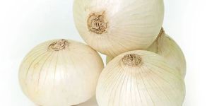 Fresh White Onion