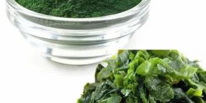 Spirulina Extract Powder