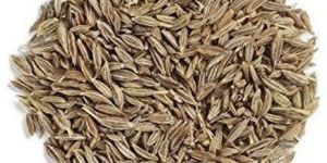 High Quality Cumin Seeds