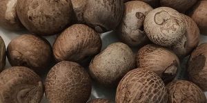 Indonesia Roasted Betel Nut