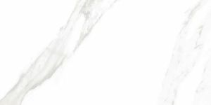 Silk Satvario Porcelain Slab