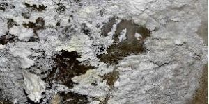 britex sg-101 coating