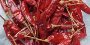 334/ S4/ SANAM Dry Red Chilli