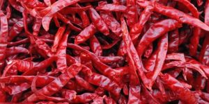 Teja/S17 Dry Red Chilli