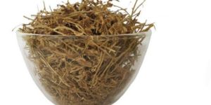 Vishnu Kiranthi / Slender Dwarf Morning-Glory (Raw)