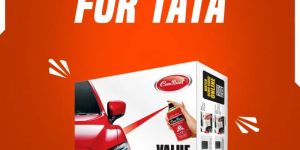 Spray Paint Kit for Cars TATA