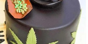 Premium Chocolate Truffle Cake