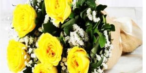 Special Friend Yellow Roses
