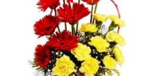 Stunning Dutch Gerberas Basket