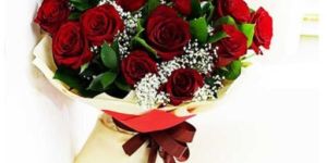 Stunning Dutch Roses Bunch