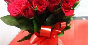 Valentines Day Rose Elegance