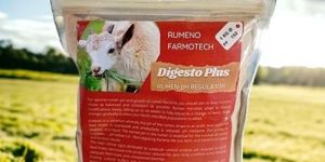 Digesto Plus Digestive Supplements for Animals