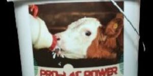 Pro-lac power calf milk replacer