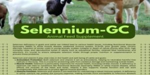 Selennium-GC Selenium supplement for cattle and goats