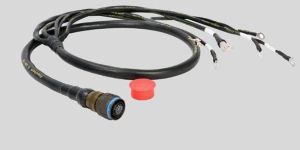 LARGEST WIRING HARNESS