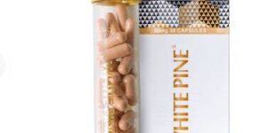 White Pine Pycnogenol Capsules