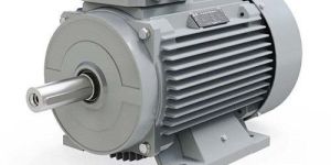 3000rpm 60f 3 Phase Tefc Cast Iron Induction Motor