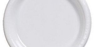 Plain Disposable White Paper Plate