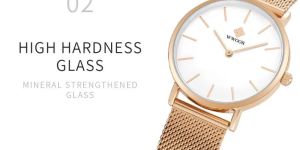 Zircon Watch