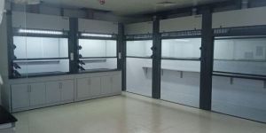 customisable large-scale experiments walkin fume hood
