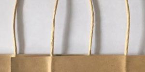 Paper Bag Handle Twisted