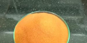 Spray Dried Carrot Powder