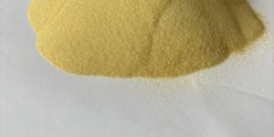 Spray Dried Mango Powder