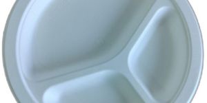 9 Inch 3CP Bagasse Plate