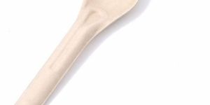 Sugarcane Bagasse Spoon