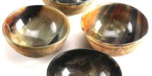 Stylish Horn Bowl