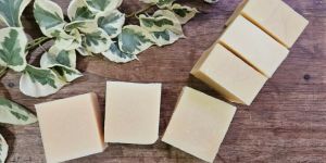 Frankincense Cedarwood Soap