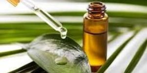 Tea Tree Oil