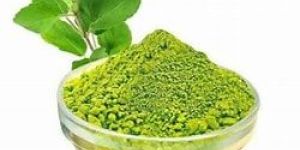Tulsi Leaf Powder