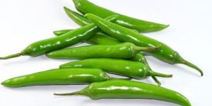 Fresh Green Chilli