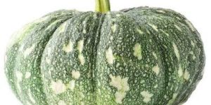 Fresh Green Pumpkin
