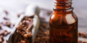 Hot Pressed Clove Oil