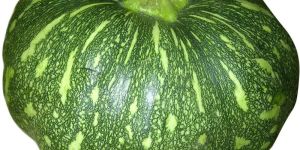 Fresh Pumpkin