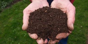 Organic Vermicompost