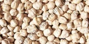 White Chana