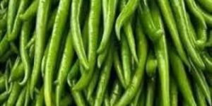 Fresh Green Chilli