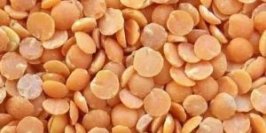 Red Split Masoor Dal