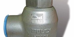 Whale Single Swivel