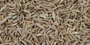 Natural Cumin Seeds